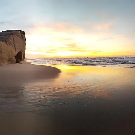 Encanto Da Foz - By Sch 公寓 *